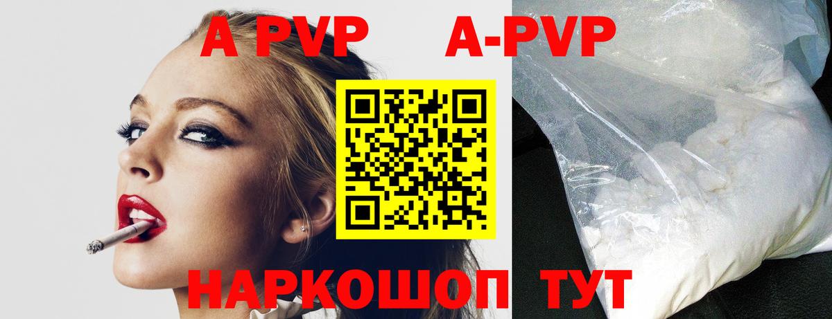 A PVP СК КРИС Новодвинск