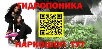 Альфа ПВП Дубна