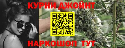 Альфа ПВП Дубна