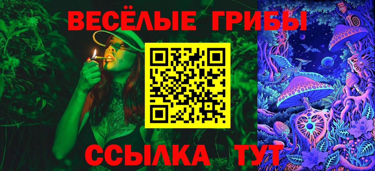 Галлюциногенные грибы мухоморы Новодвинск