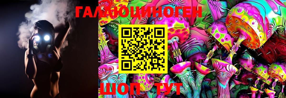 Псилоцибиновые грибы MAGIC MUSHROOMS  Вход с VPN  Новодвинск  купить наркотики сайты  Галлюциногенные грибы мицелий 